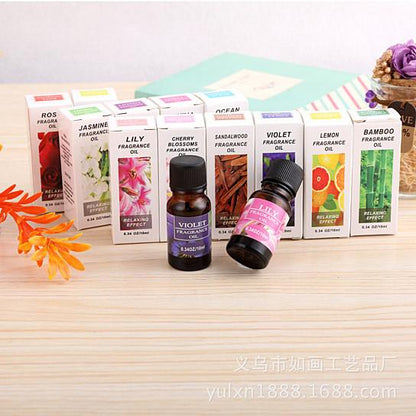 Aromatherapy Humidifier & Scent Diffuser – For Relaxation & Wellness